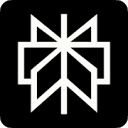 Perplexity App logo